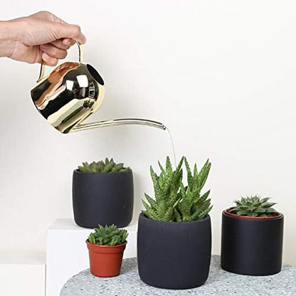 Small Watering Can for Indoor Plants, 15oz/450ml Stainless Steel Long Spout Watering Can for Succulents, Herbs (Gold) - color: Gold