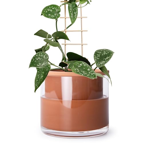 Phoenix Vine 6 Inch Self Watering Plants Pot, Design Terracotta Pot for Plants, Indoor Cylinder Terra Cotta Planter with Glass Vase, Set of 1, 51-A-F-1 - color: Terracotta, size: 6" (1 Pack)