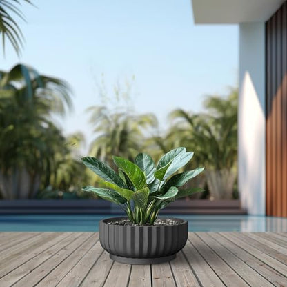Kante Accent Round Shallow Black Concrete Planter 20.9" Dia, Outdoor - color: Black, size: 20.9"w x 8.3"h