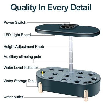 Indoor Garden Hydroponics Growing System12 Pods Plant Germination Kit Aeroponic Herb Vegetable Growth Lamp Countertop with LED Grow Light Hydrophonic Planter Grower Automatic Water Circulation (Green) - color: Green