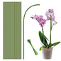 20Pcs Plant Stakes, 18IN Orchid Support Stakes for Indoor Plants - size: 18 Inches