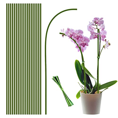 20Pcs Plant Stakes, 16IN Orchid Support Stakes for Indoor Plants - size: 16 Inches