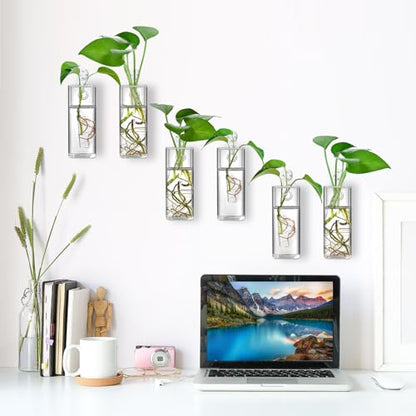 Fasmov 6 Pack Wall Hanging Glass Planters, Terrarium Holders for Air Plants, Succulents, Flowers - Square, Clear Vase Containers for Plant Display and Decoration - size: 2.36"L x 2.36"W x 6"H