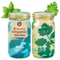 Modern Sprout Mason Garden Jar-Self-Watering Hydroponics Kit-Basil+Cilantro - color: Basil+cilantro, size: Garden Jars