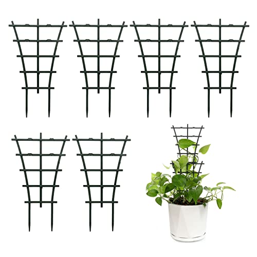Feitore 6Pcs Indoor Plant Trellis for Climbing Plants Outdoor, Stackable