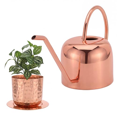 Indoor Watering Can and Planter with Plate.