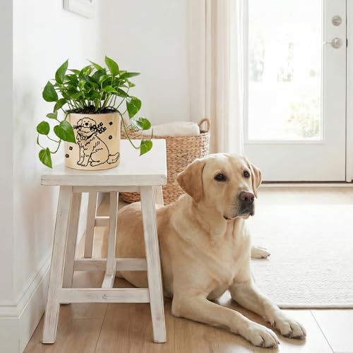 STHIE Ceramic Planters with Drainage Holes, 5 Inch Pots for Indoor Plants - color: Cy-goldflower02