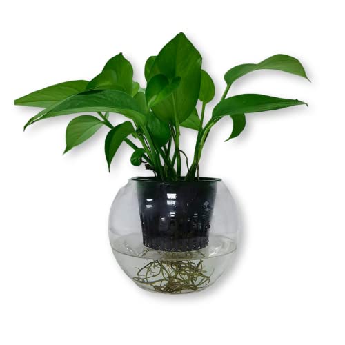 Mesh Net Cup 5 Inch 24-Pack Heavy Duty Nursery Pot Garden Pots for Plants Hydroponics Supplies Net Pots