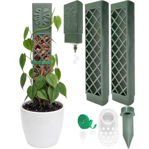 2 Pcs 9 Inch D Shaped Moss Pole with Watering Dripper, Plastic Moss Poles for Climbing Plants, Sturdy Monstera Plant Support, Self Watering Moss Pole Kit for Plants Indoor (1Pack 2Pcs-Green) - size: 1Pack 2Pcs-Green