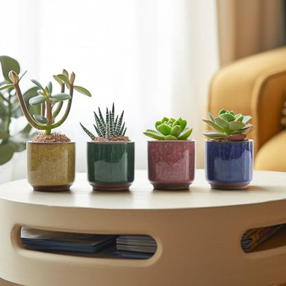 T4U Mini Succulent Pots, Small Ceramic Planters, Retro Gift Set of 12 - size: 2.4"*2.4"