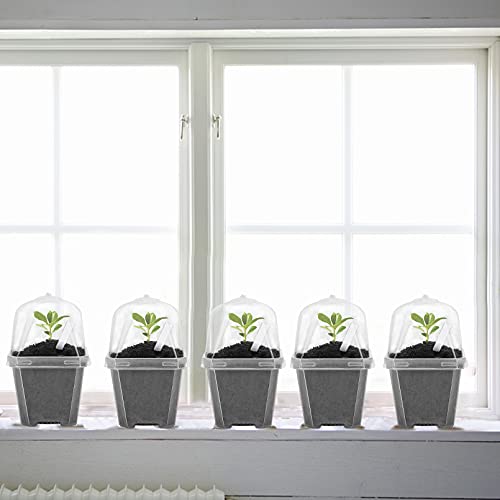 EBaokuup 30PCS Clear Plant Nursery Pots with Humidity Dome - 3" Durable Plastic Gardening Pot, Small Plant Container for Seedlings/Vegetables/Succulents/Cuttings - color: 30pcs-white, size: 3 Inch