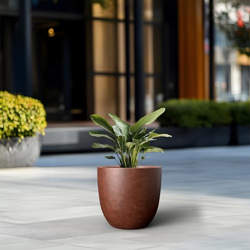 Kante Accent Round Bowl Rusty Concrete Planter 14" Dia, Outdoor - color: Rusty, size: 14"d