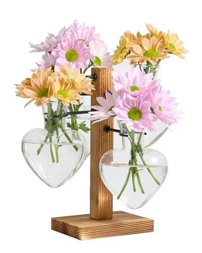 Plant Propagation Stations with Wood Stand, 4 Vases Love Shape - color: Love
