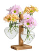 Plant Propagation Stations with Wood Stand, 4 Vases Love Shape - color: Love