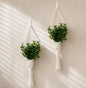 2Pcs Macrame Wall Plant Hanger, Boho Hanging Planter Basket - color: White X 2pc