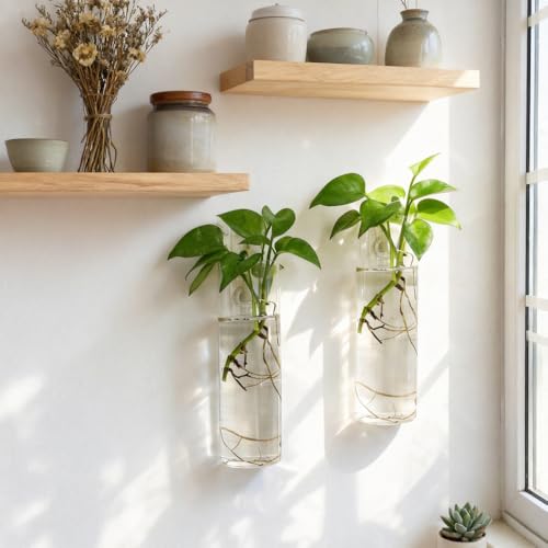 Wall Hanging Planter Propagation Station, Indoor Decor Glass Vases, 2 Pack