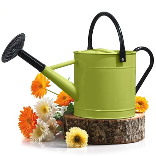 Plexon Metal Watering Can Outdoor 1 Gallon, Flower Plant Gardening Garden Large Green Watering Can Pot, Galvanized Steel Handles - Removable Spray Spout, Green - color: Green
