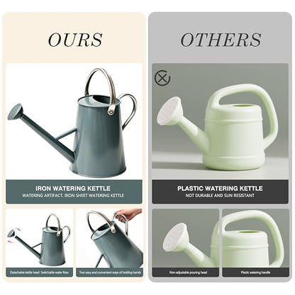1.5 Gallon Metal Watering Can for Outdoor Plants, Large Watering Can, Gray - color: Gray