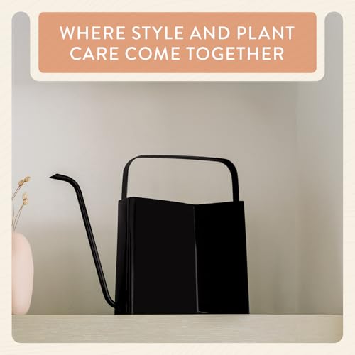 Modern Sprout Brass Watering Can - 3L Stainless Steel - Long Spout (Black)