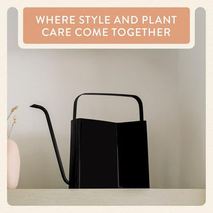 Modern Sprout Brass Watering Can - 3L Stainless Steel - Long Spout (Black)
