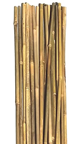 Natural Bamboo Poles, Eco-Friendly Plant Support Garden Stakes 16 Inch Long (20-Count)