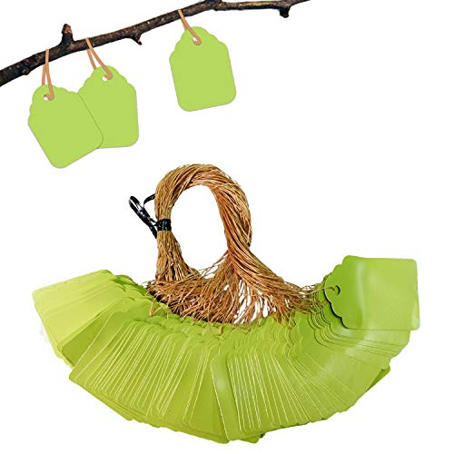 BEADNOVA Plant Hanging Tags 100pcs Tags with String Reusable Plant Labels Markers Plastic Garden Signs Garden Markers for Outdoor (2 Inch, Light Green) - color: Light Green 100pcs