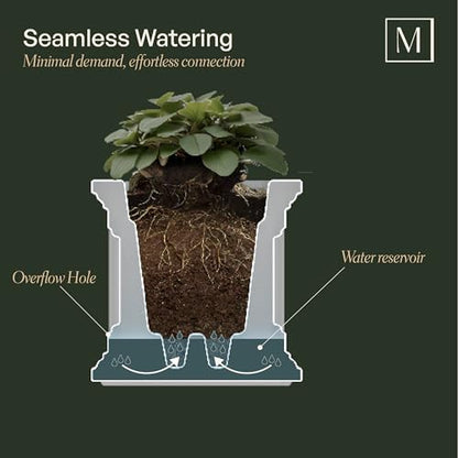 Mayne Cape Cod 16in Self-Watering Square Planter, Black - color: Black, size: 16in