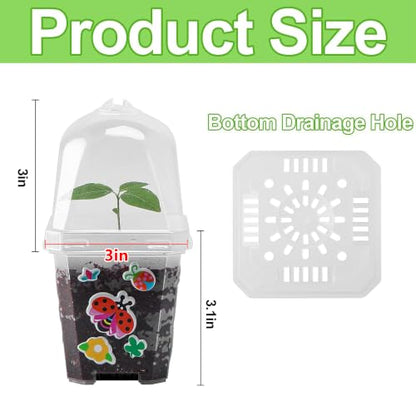 EBaokuup 10 Pack 3 Inch Clear Plant Nursery Pots with Humidity Domes - color: 10pcs-color, size: 3 Inch