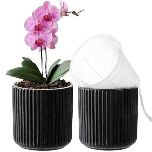 Ceramic Orchid Pot, Clear Nursery Pot & self Watering,5 inch,Black - color: Black, size: 5 inch