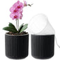 Ceramic Orchid Pot, Clear Nursery Pot & self Watering,5 inch,Black - color: Black, size: 5 inch