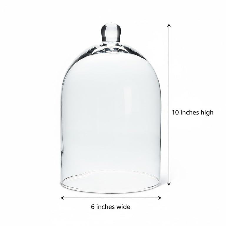 Abbott Collection Classic Shaped Cloche - size: 10 inches H