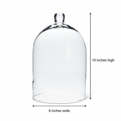 Abbott Collection Classic Shaped Cloche - size: 10 inches H