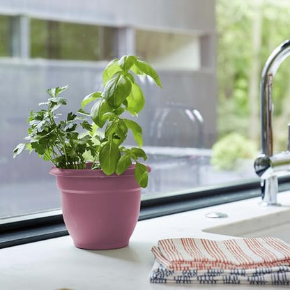 Bloem Ariana 6" Plastic Self-Watering Planter, Dusty Rose, 4-Pack - color: Dusty Rose, size: 6" (Pack of 4)