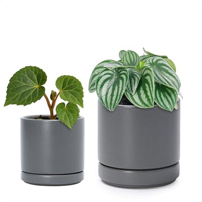 D'vine Dev 2-Pack Ceramic Pots & Saucers, Grey, 3.5/4.7 in, 94-G-XS-3 - color: Gray, size: X-Small