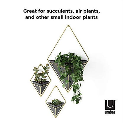 Umbra Trigg Hanging Planter for Small Plants, Set of 2, Small, Black/Brass - color: Black/Brass, size: Small
