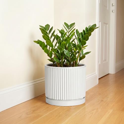 10 Inch Plant Pot, Ceramic Planters, Round Flower Pots, White - color: White, size: 10 Inch