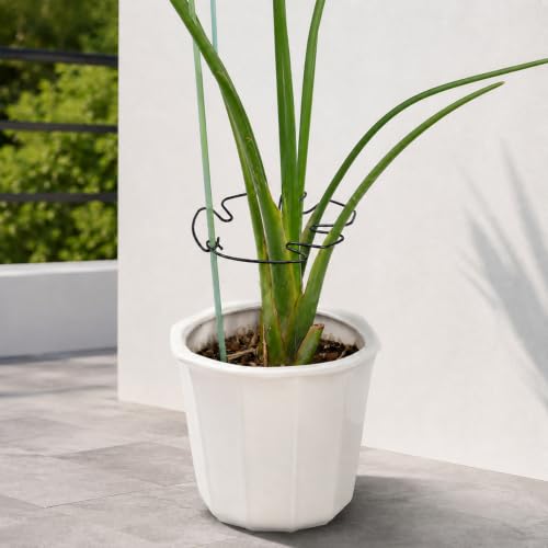 Yohsnor 5PCS Monstera Plant Stem Suppor-7.3 * 6.25IN Metal Stem Holder - color: Black, size: 7.3IN*6.25IN