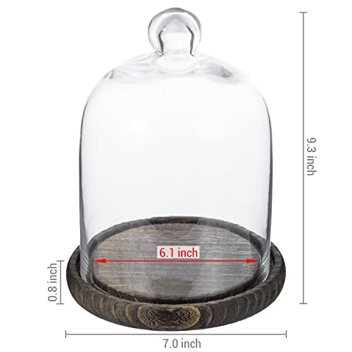 MyGift 9 Inch Clear Glass Cloche Dome Bell Jar With Wood Base