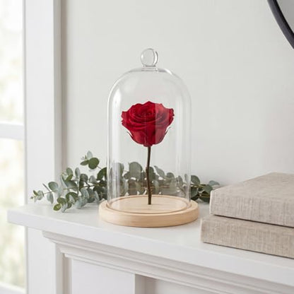 Lyellfe 2 Pack Cloche Glass Dome with Rustic Wooden Base