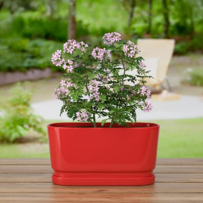 13" Rectangular Ceramic Planter with Drainage and Saucer, Red - color: Red, size: Large