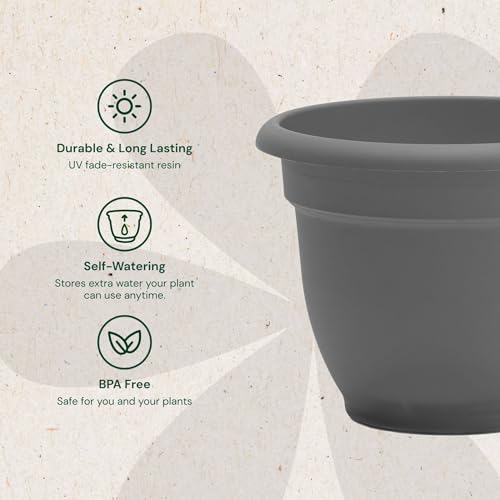 Bloem Ariana 12" Plastic Self-Watering Planter, Charcoal, 2-Pack - color: Charcoal, size: 12" (Pack of 2)