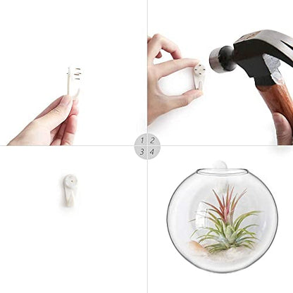 Mkono Wall Propagation Planters, 4 Pack Glass Hanging Vase Plant Holder