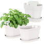Oliz 6pk Windowsill Planters, White Plastic w/Drain Tray - Indoor/Outdoor - color: White