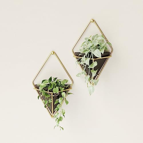 Umbra Trigg Hanging Planter for Small Plants, Set of 2, Small, Black/Brass - color: Black/Brass, size: Small