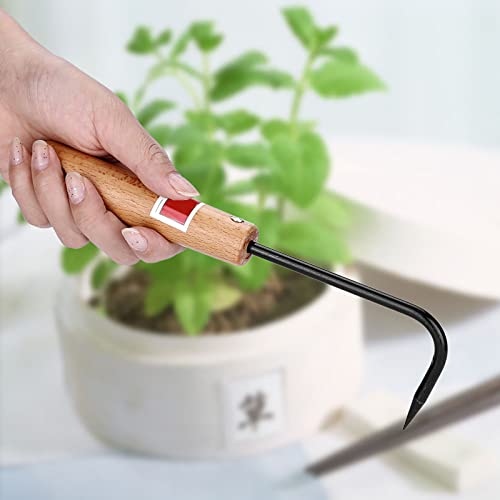 GLOGLOW Bonsai Tool Root Pick Rake Gardening Manganese Steel Hook with Ergonomic Wooden Handle