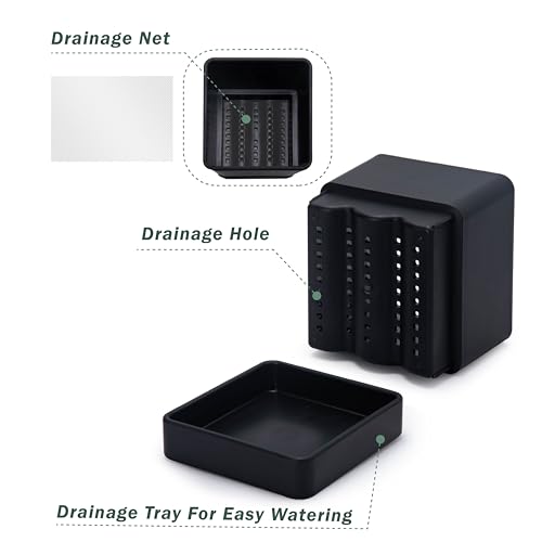 D'vine Dev 2-Pack Plastic Herb Planter Pots, 6 in, Black, 76-Y-B2-2 - color: Black, size: 12 Inch x 6.5 Inch