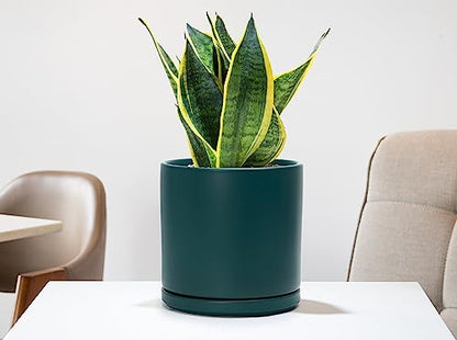 D'vine Dev 8 Inch Ceramic Planter Pot, Teal, 94-O-D-9 - color: Teal, size: Medium