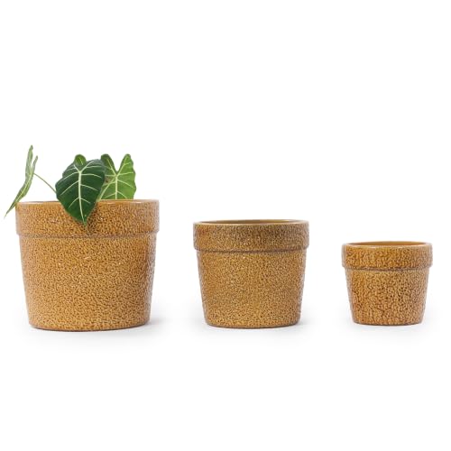 Ceramic Plant Pots with Drainage Hole, 9/12/15 Inch, Yellow - color: Yellow