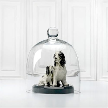 Plymor 7.875 inch x 9.5 inch Bell Jar Glass Display Dome Cloche (Interior Size 7.5" x 7.5") - size: 7.875" x 9.5"