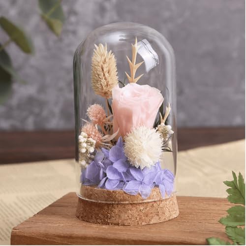 6 Pack Mini Glass Cloche with Cork Base, 2.37x3.94 Clear Bell Jars